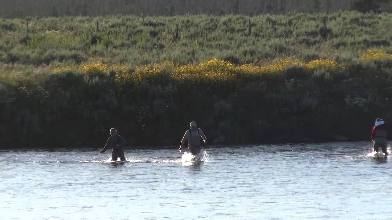 2011 Guide 'Race' (Trout Hunter Lodge)