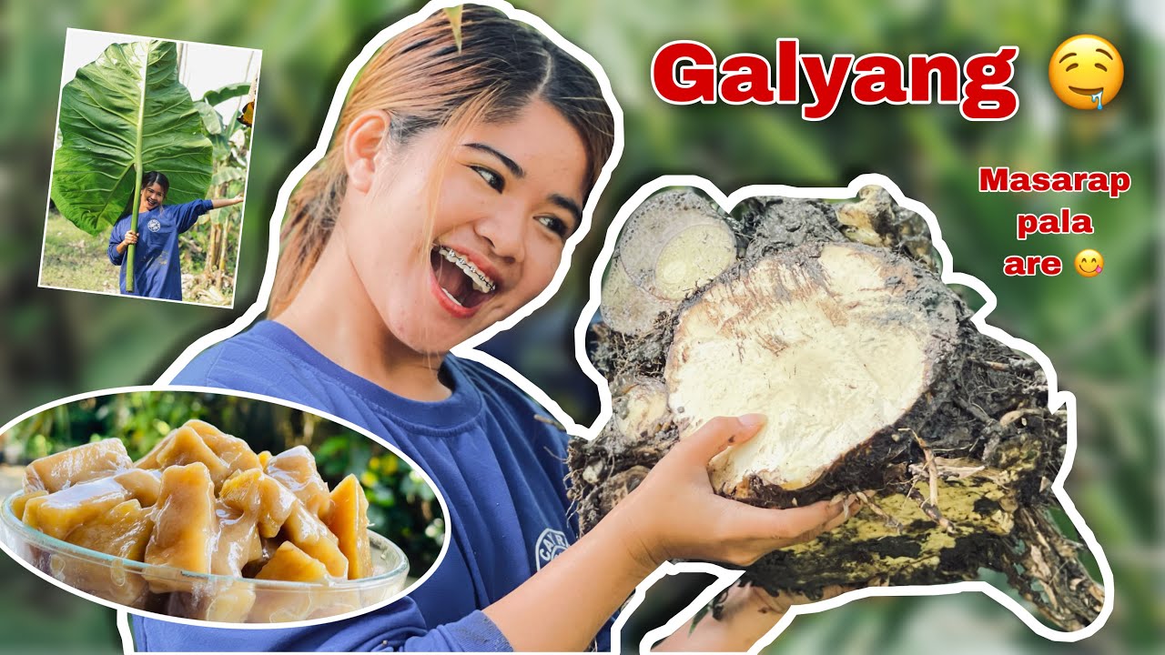 Nanguha kami ng Galyang | Sarap | Oriental Mindoro| KaMangyan Vlogs