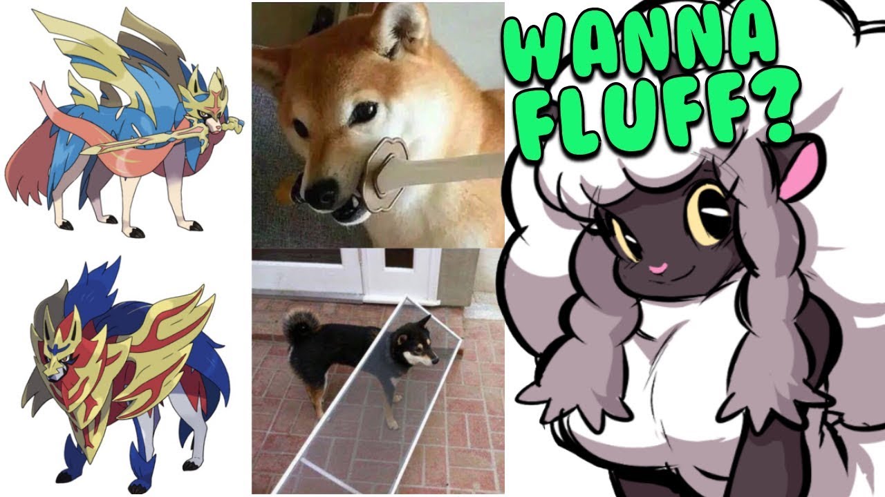 The New Pokemon Sword & Shield Memes are FANTASTIC!
