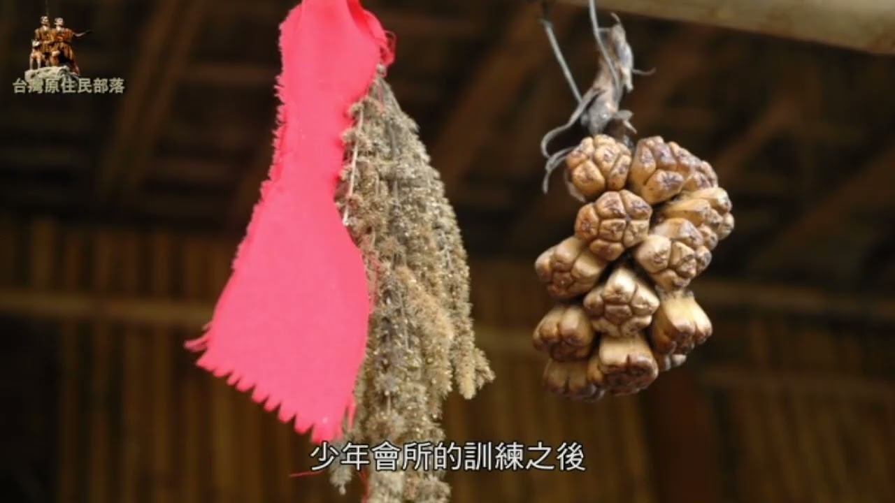 台灣的原住民 6 卑南族 TAIWAN INDIGENOUS PEOPLES 6