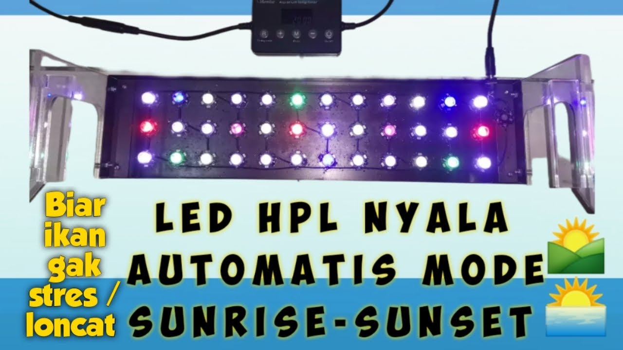 Led hpl DIY with dimmer otomatis sunrise-sunset aquascape aquarium vivarium terrarium