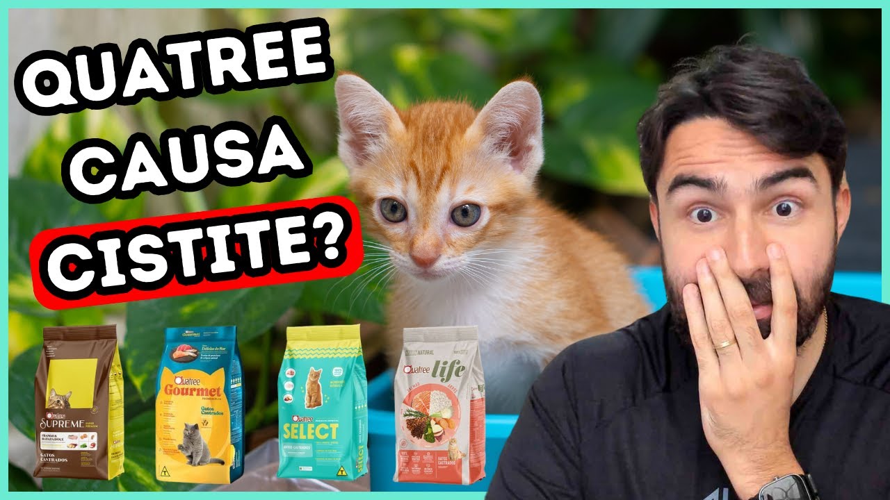 RAÇÃO QUATREE CAUSANDO CISTITE EM GATOS?