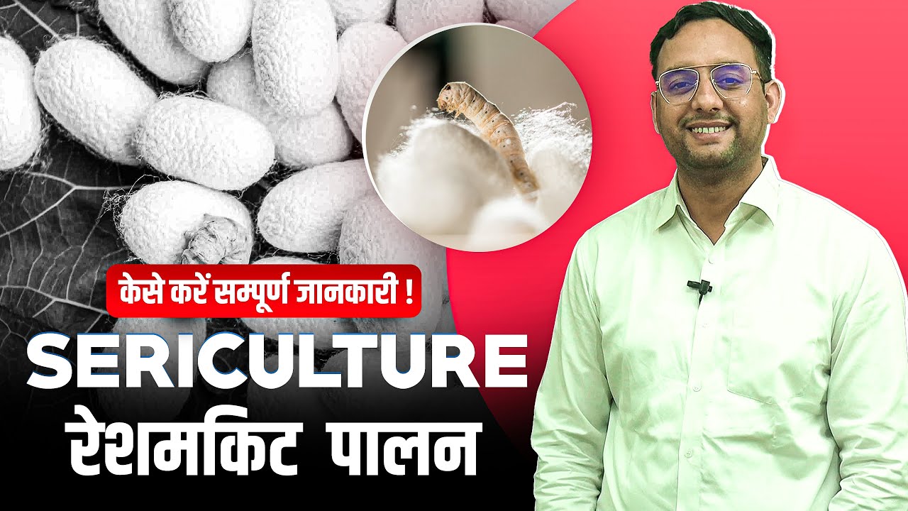 Sericulture | Silkworm Cultivation | सेरीकल्चर | रेशमकीट पालन