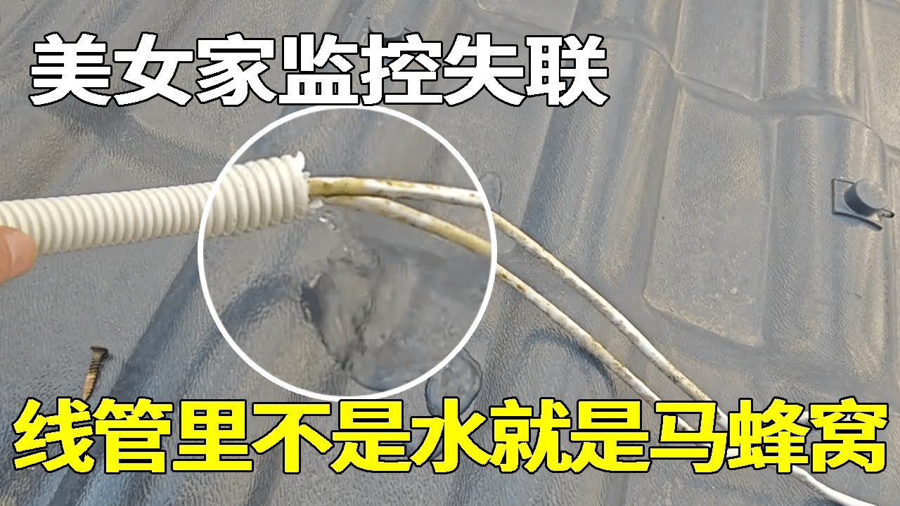 美女家监控失联，安装师傅技术实在太水，线管里不是水就是马蜂窝？【海南弱电小胡】