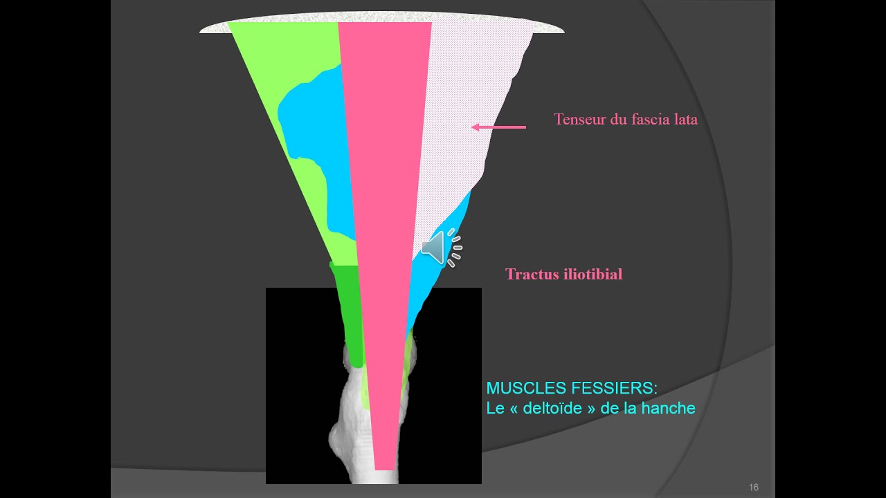 TENDINOPATHIES TROCHANTERIENNES audio
