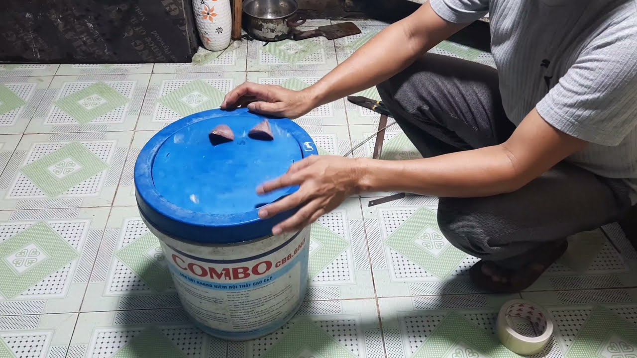Bắt hết chuột không lo chết thối trong nhà