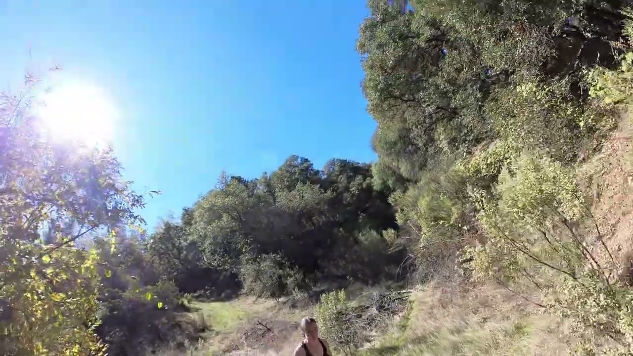Sierra Nevadas-Hiking Up Cardiac Trail 