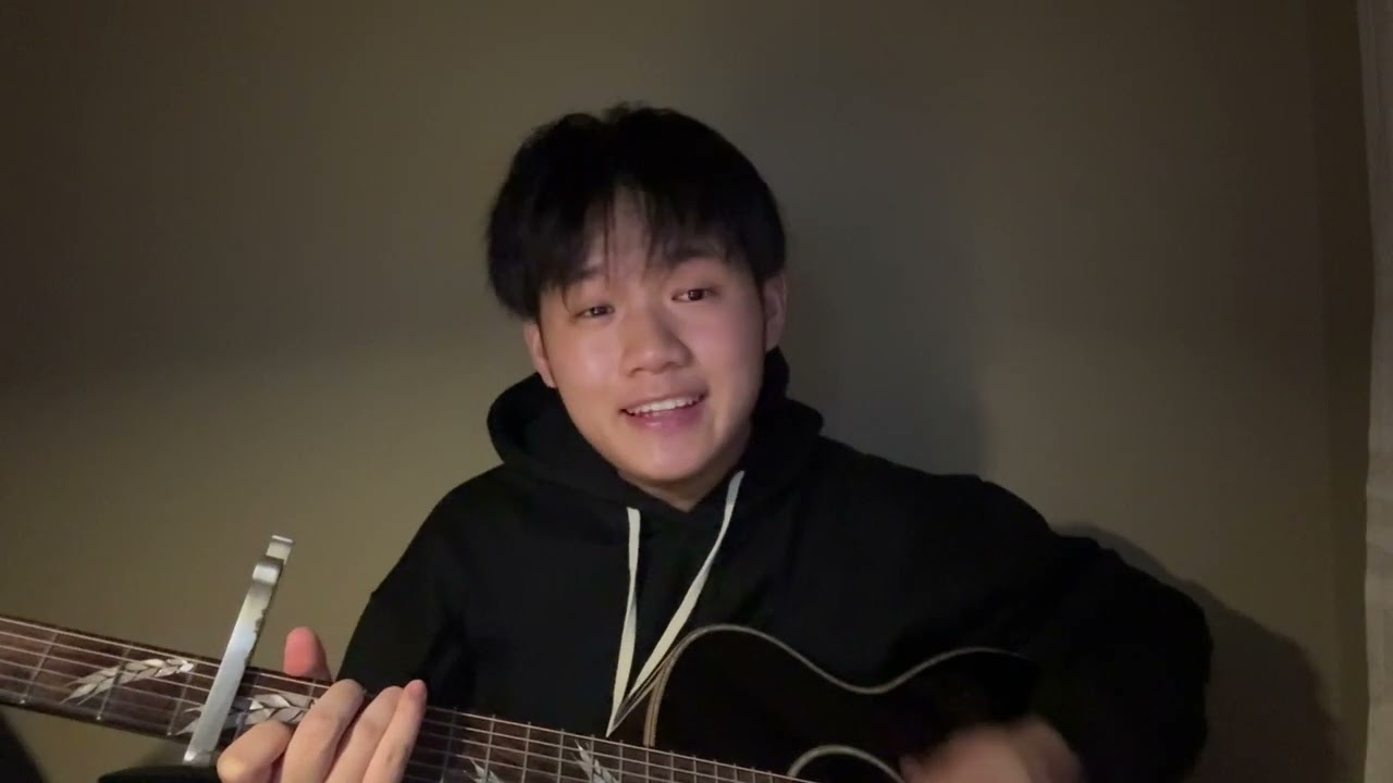 Taylor Swift - Better Man Cover