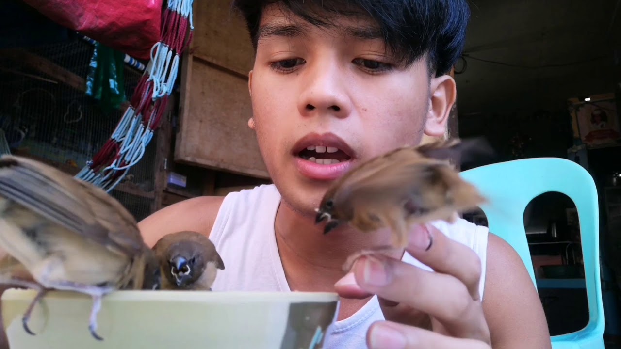 Feeding Time