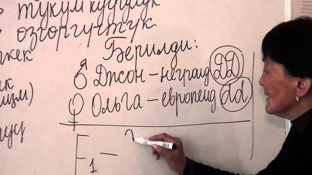 Кызыктуу генетика.  Асанбаева Г