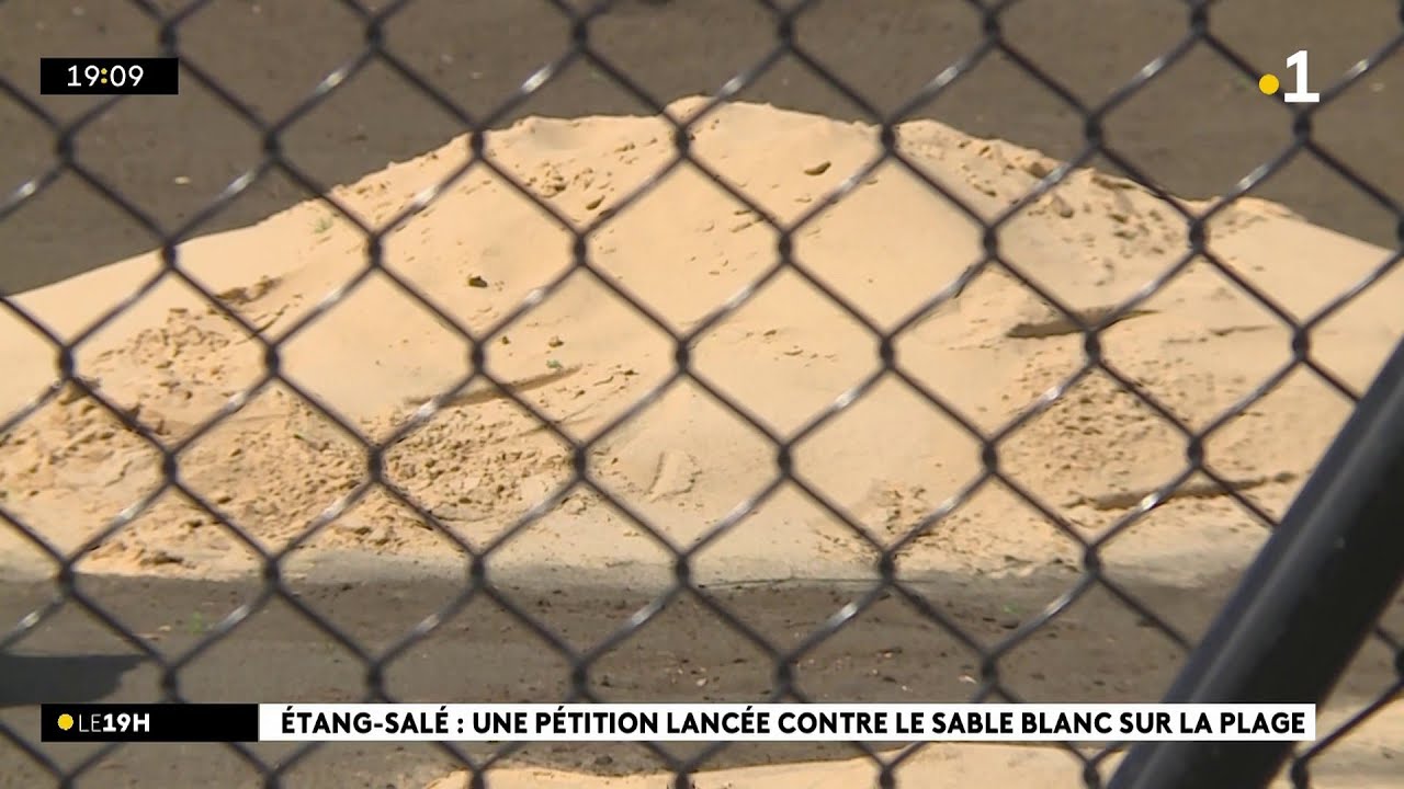 Pol&eacute;mique autour du sable import&eacute; &agrave; l'Etang-Sal&eacute;, une p&eacute;tition est lanc&eacute;e