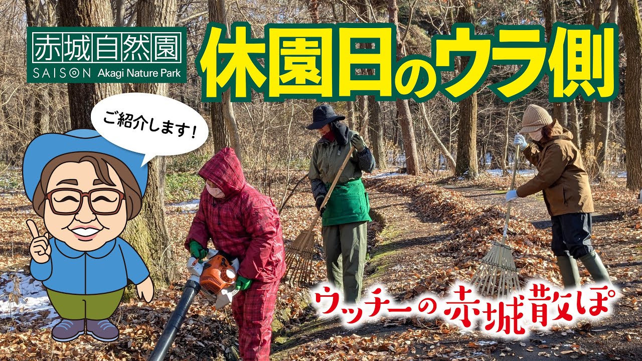 ウッチーの赤城散ぽ2024#10～休園日のウラ側ご紹介します～