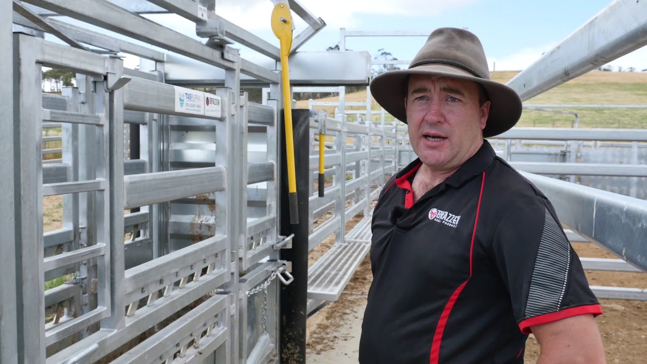 Brazzen Cattle Yards in Operation!