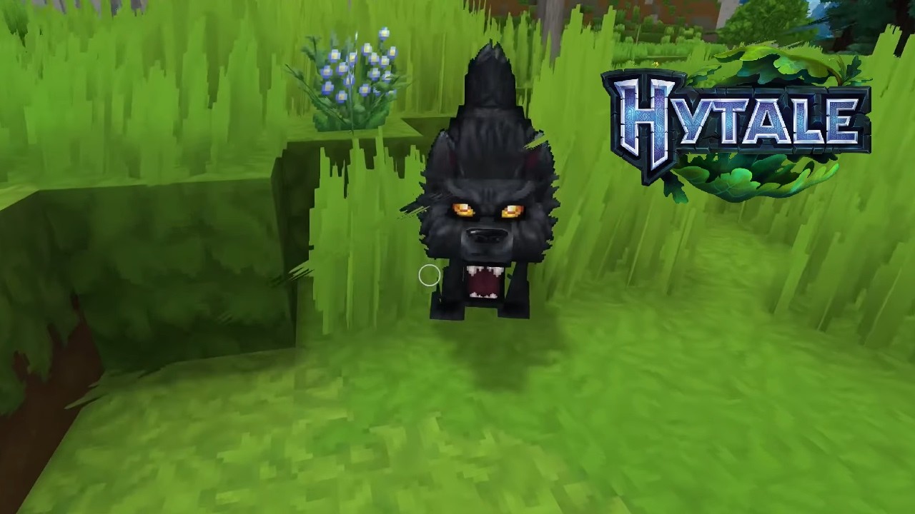 - Hytale #009