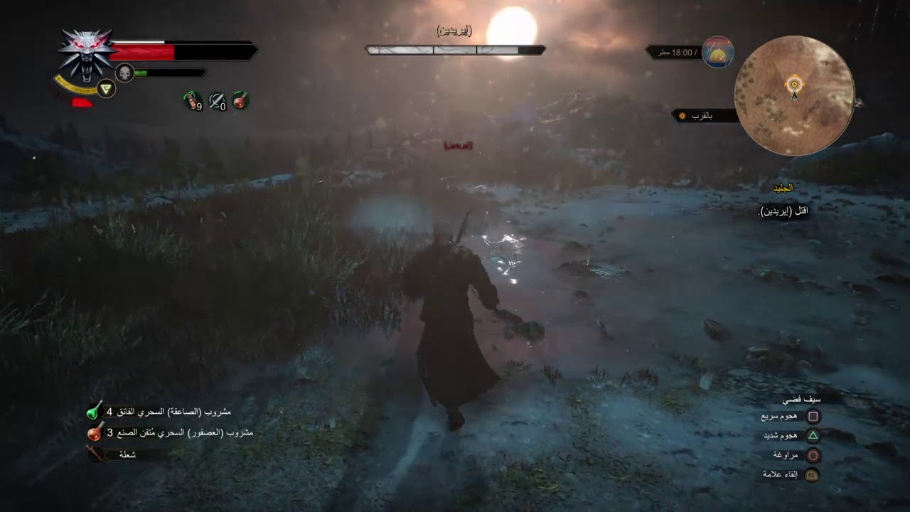 The Witcher 3: Wild Hunt – قتال ايردين على اعلى مستوى صعوبة
