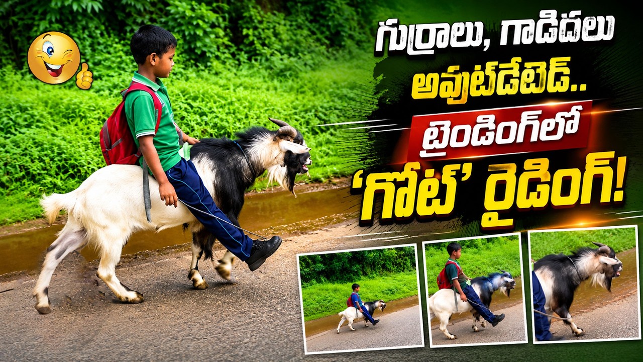 ట్రెండింగ్&zwnj;లో గోట్ రైడింగ్ వీడియో.! Viral GOAT Riding Trend Takes Over| Meghalaya Boy Goes to School
