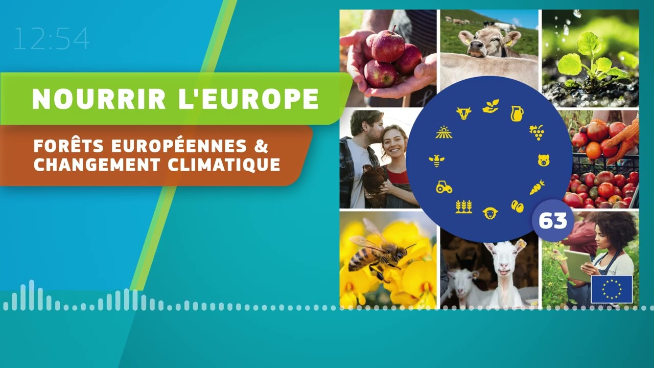 Nourrir l’Europe Podcast 63 - Feux de forêt dans l’UE : prévenir et réparer