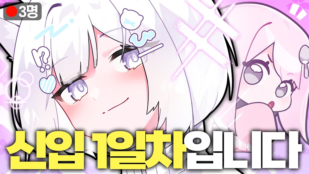 '방송 치트키 알려드림ㅋㅋ'  3일간 부캐로 시청자 수 내기하는 컨텐츠