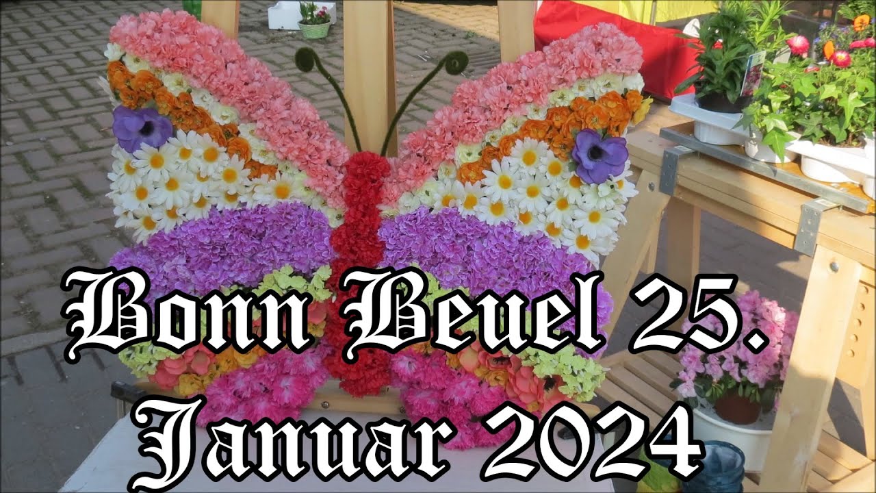 Bonn  Beuel  25  Januar 2024