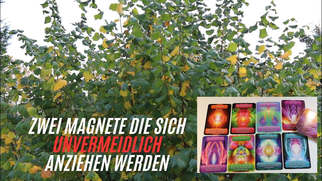 Liebesorakel❤️Hier kommt dir bald jemand so nah, wie vielleicht noch nie ein Mensch in deinem Leben.