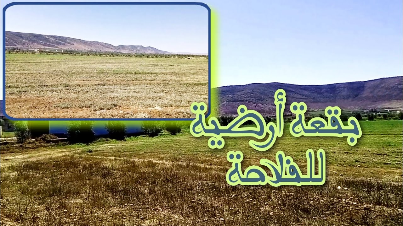 بقعة أرضية جيدة في دويرية للبيع بثمن مناسب جميع المعلومات في الفيديو