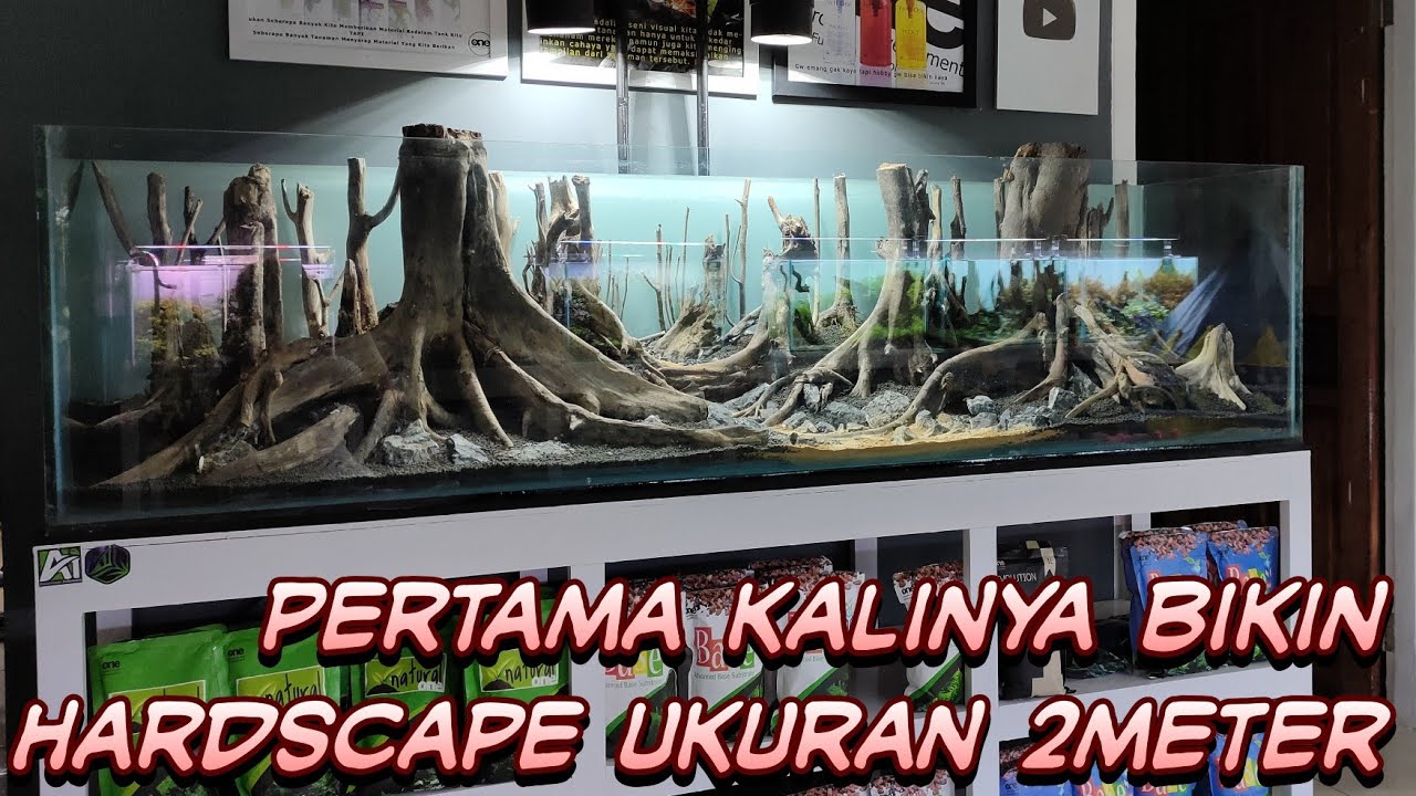 #214 Membuat Hardscape jungle style ukuran 2 meter