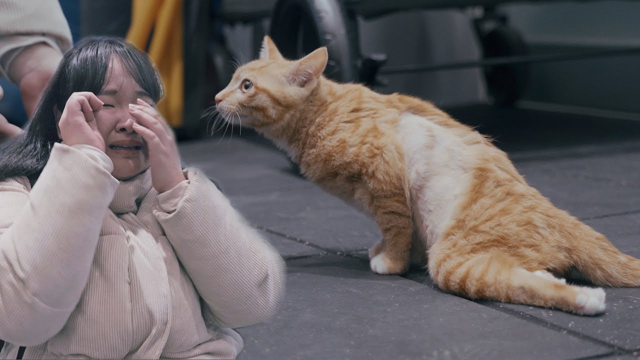 Хочу гулять!! (Охранник, который говорит, что эвтаназию делать нельзя)