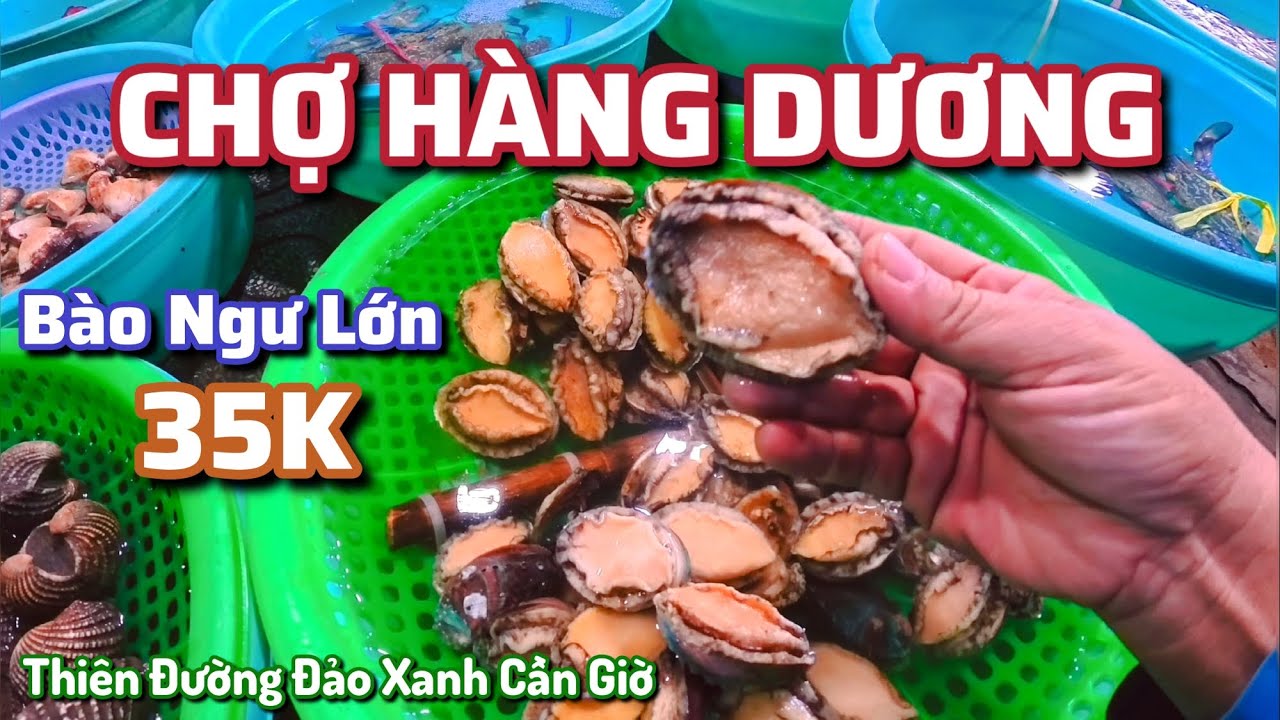 Chợ Hải Sản Hàng Dương - Ngắm Cây Mai 150 tuổi, VinHomes Green Paradise Cần Giờ.