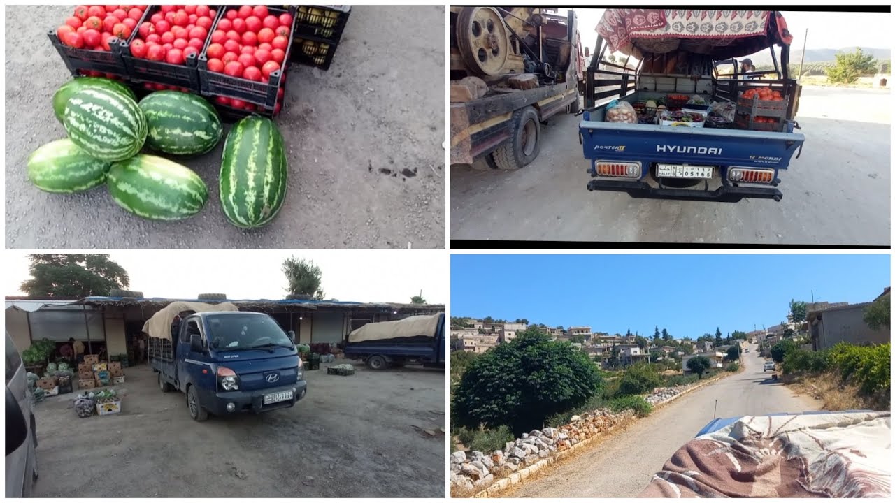 ڤيديو مميز😍أشتغلت بياع خضره وفواكه يومين🍇🍅🍏🍉تذكرنا أيام لماضي😭وزرنا ضيع كتيره 🤩 شوفو الفيديو 🌹♥️