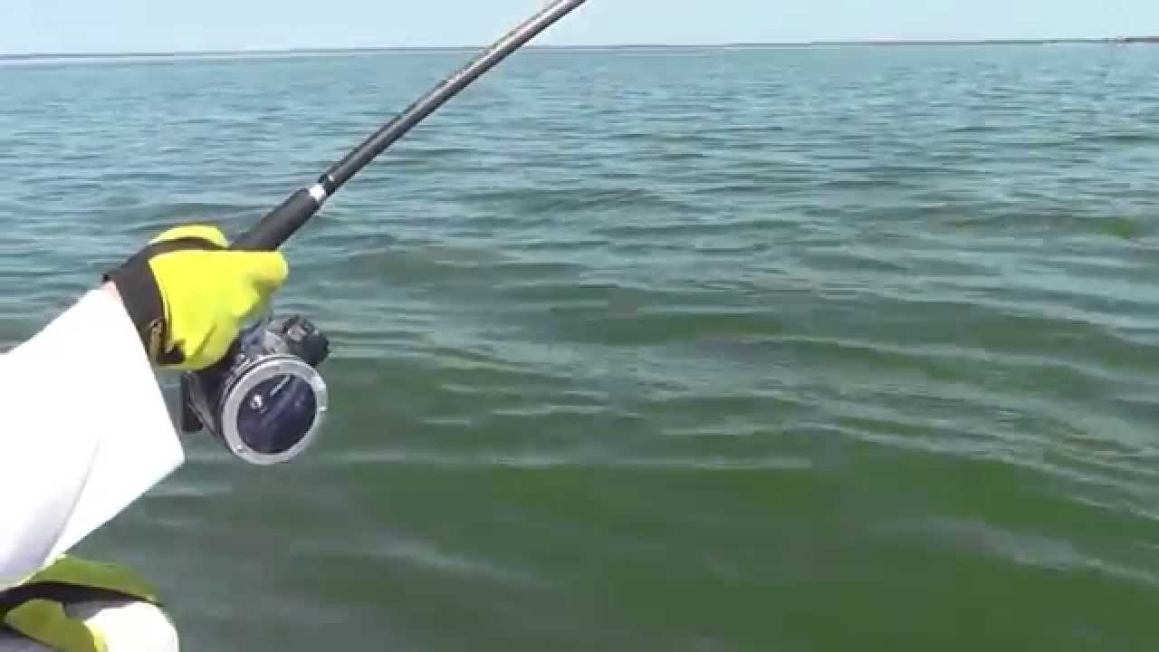 08 02 2014 113114