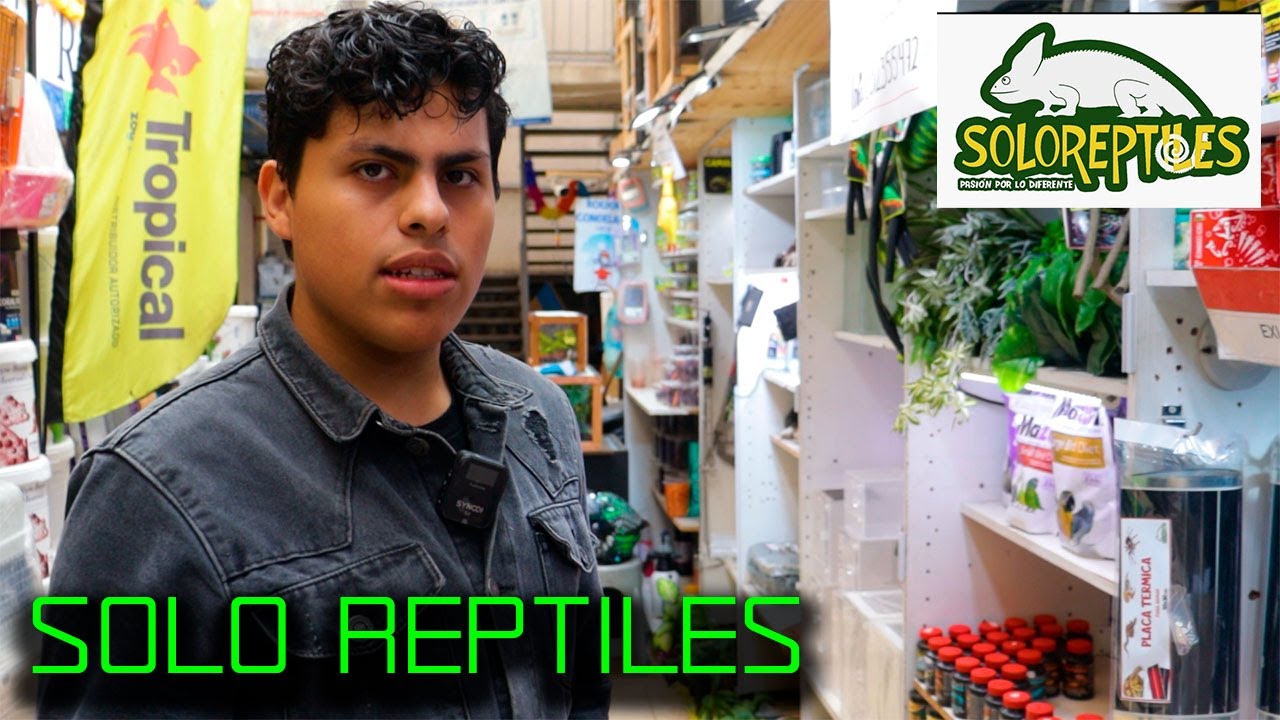 TODO PARA TUS REPTILES EN SOLO REPTILES | ACCESORIOS PARA TUS MASCOTAS |