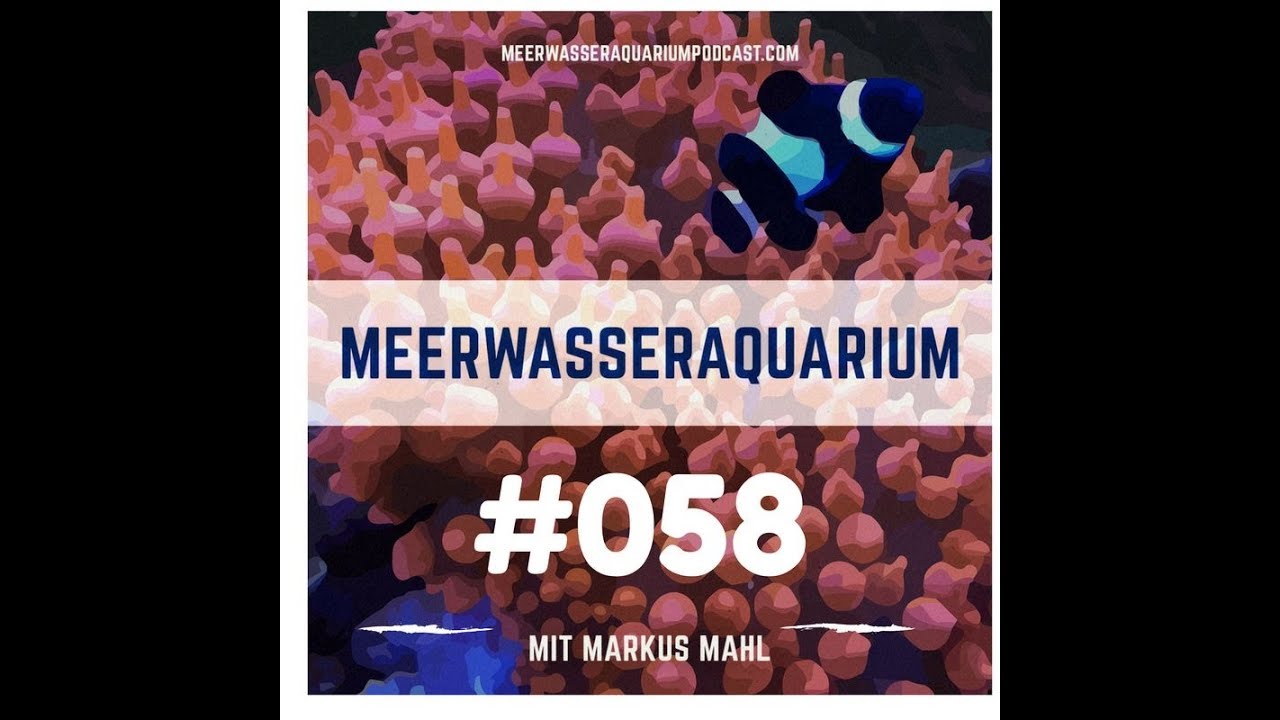Markus Mahl beantwortet H&ouml;rerfragen   - Aquarium West GmbH M&uuml;nchen