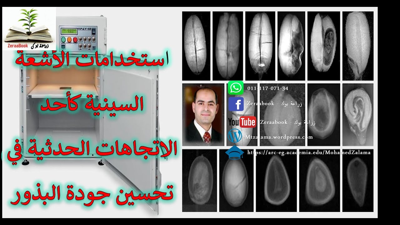 استخدامات الأشعة السينية كأحد الاتجاهات الحدثية في تحسين جودة البذور