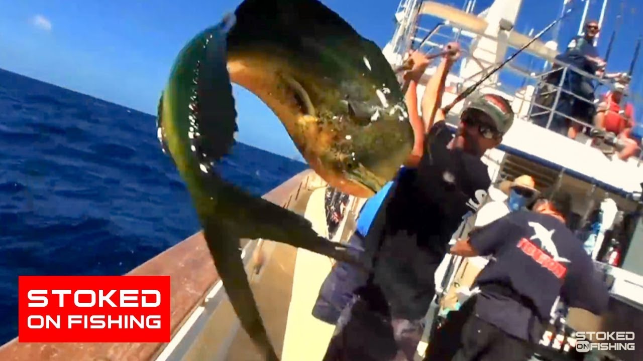 Long Range Tuna Fishing On The Intrepid | Part 1