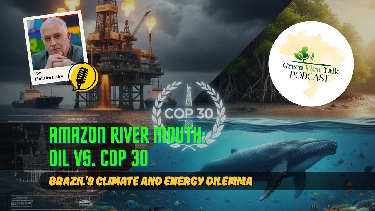 Устье реки Амазонки: нефть против COP 30 | Климатическая и энергетическая дилемма Бразилии