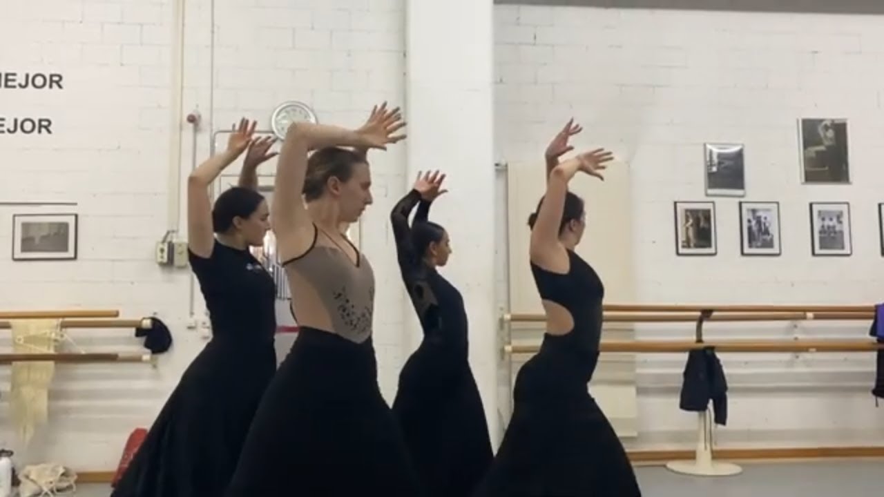 Ensayos Flamenco y Danza Española  Show 