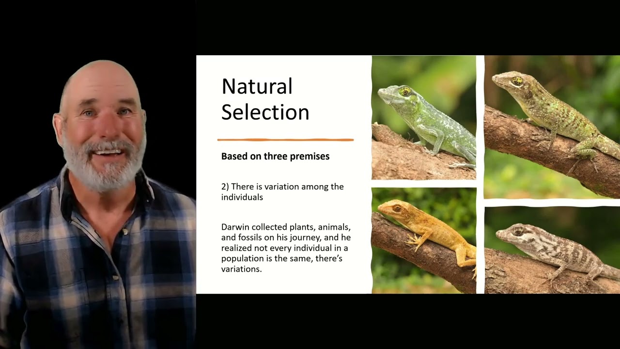 Evolution, the central paradigm of biology (2024 update)