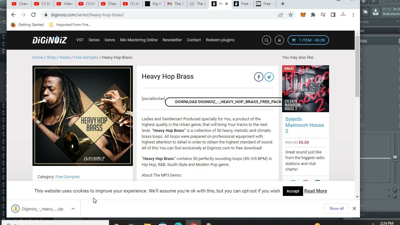 Free VST Horns and R&B DigiNoiz Review
