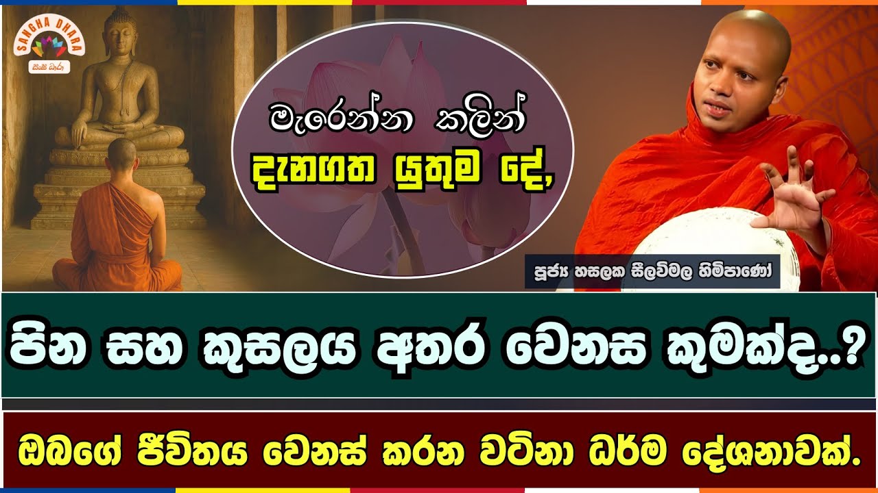මැරෙන්න කලින් දැනගත යුතුම දේ | Hasalaka seelavimala thero | හසලක සීලවිමල හිමි | #බණ #ධර්මදේශනා