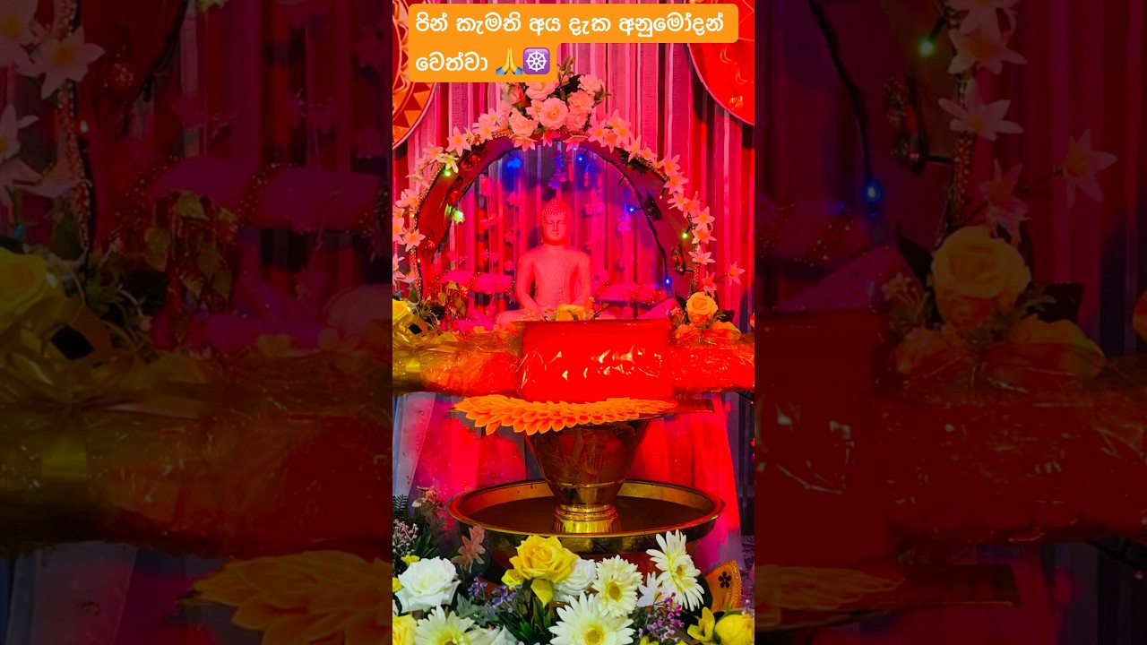 Sri Lanka&rsquo;s Sacred Buddhist Robe Ceremony | කඨින චීවර පූජාව 2024 | A Rare Cultural&nbsp;Insight #shorts