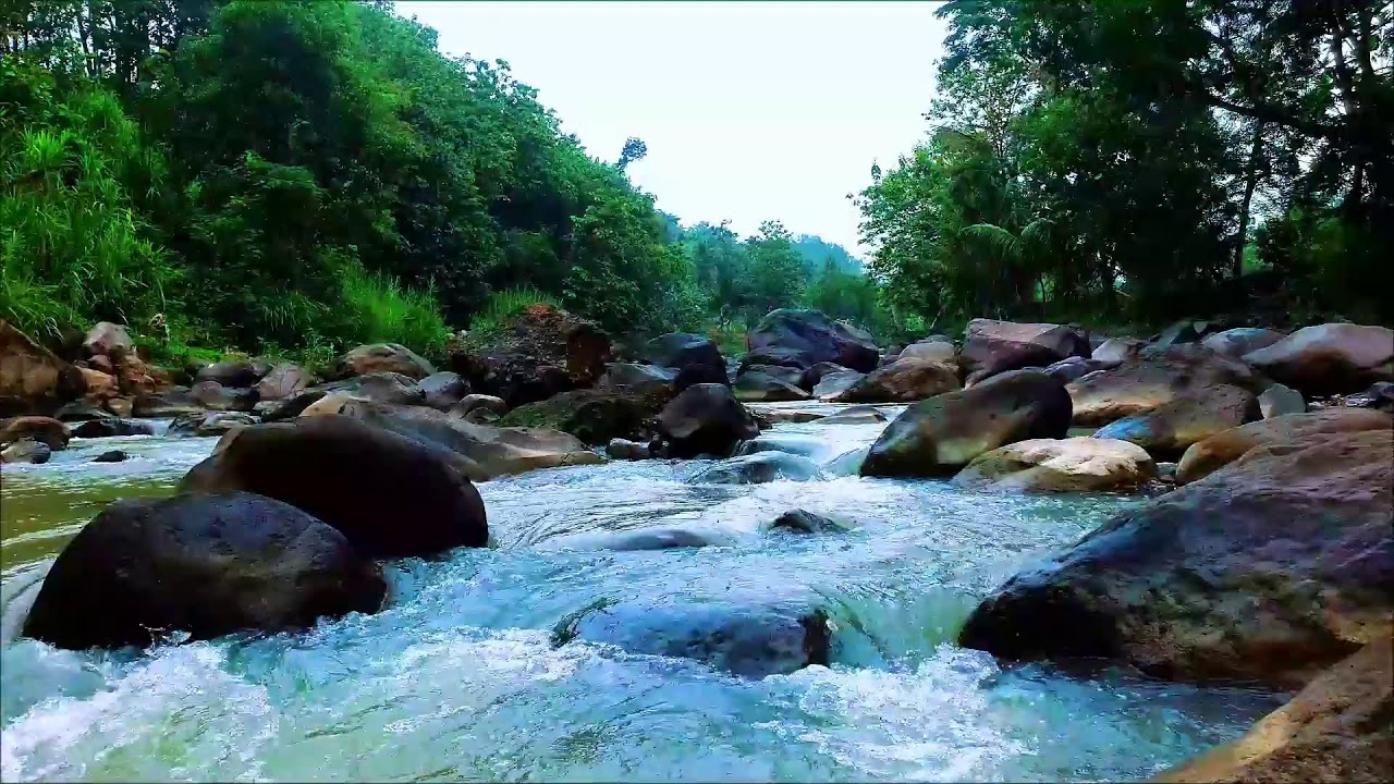 Tranquil River Sounds for Meditation and Focus – 12H Flow