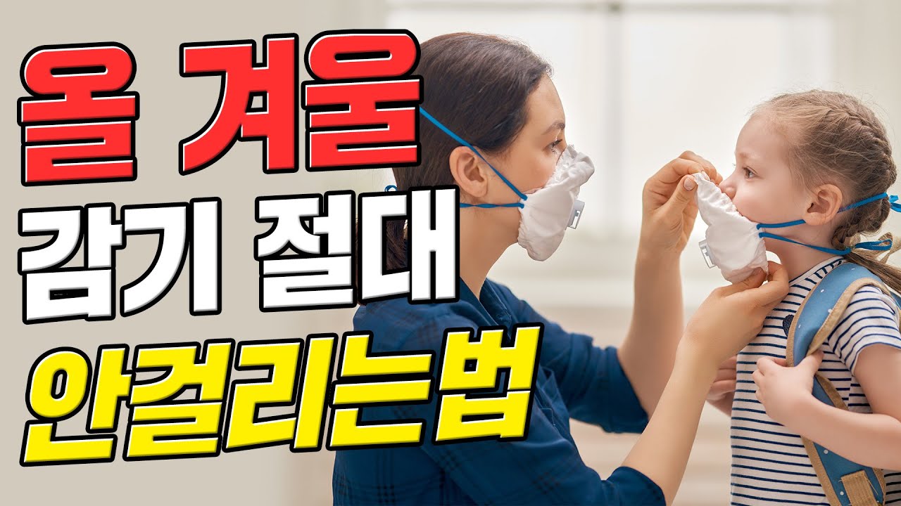 올 겨울 감기 절대 안걸리는법!