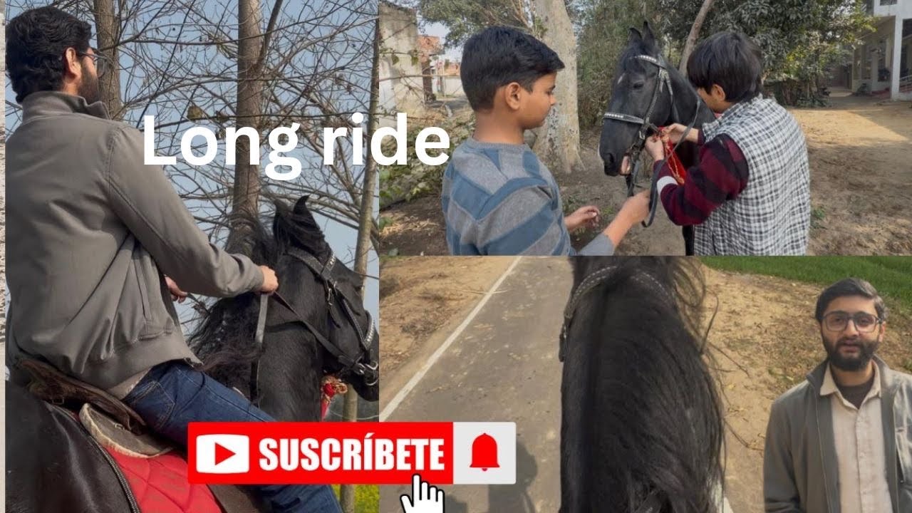 | एक लंबी सवारी रुस्तम के साथ | मजा आ गया 🐴