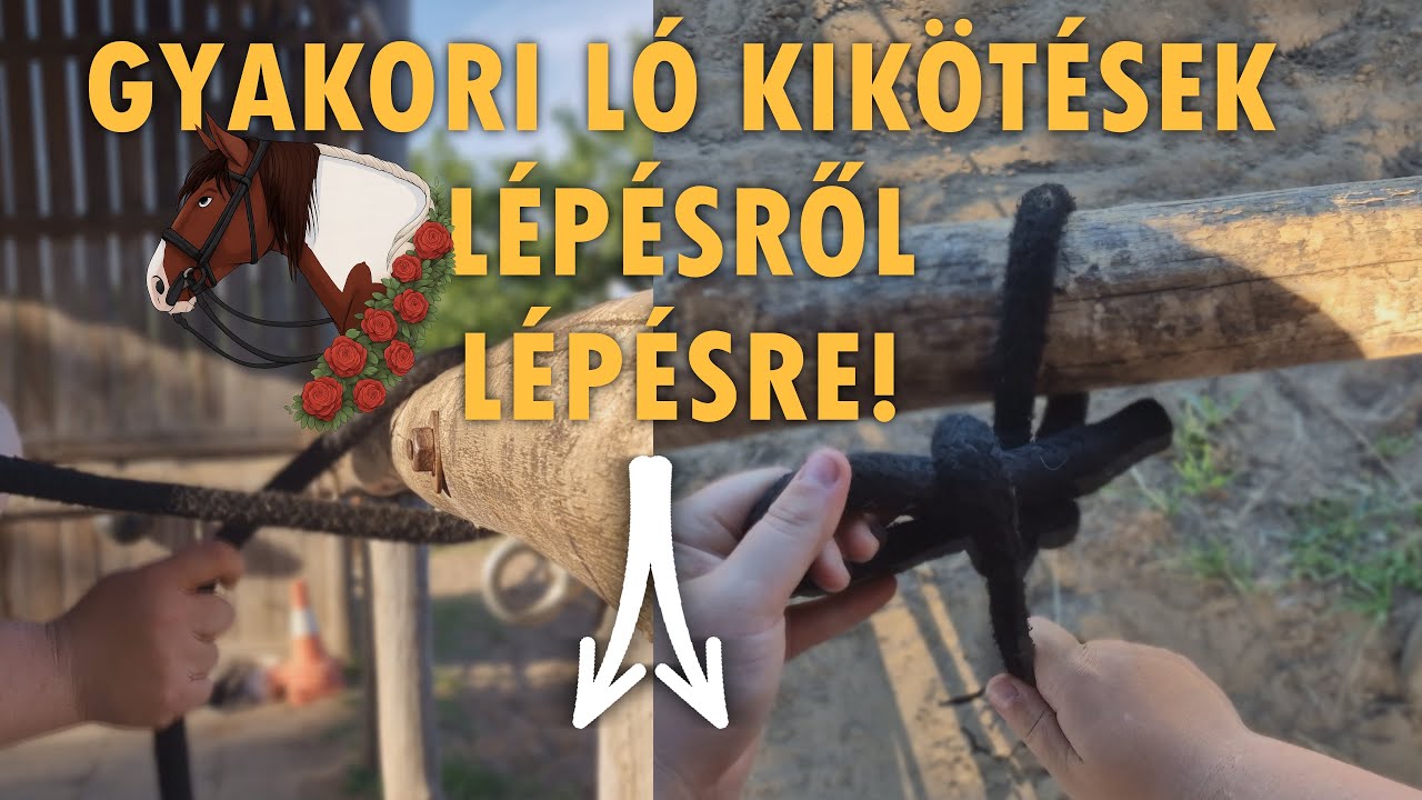 Hogyan kössük ki lovat ? LÉPÉSRŐL LÉPÉSRE [ 4 gyakori módszer. ]