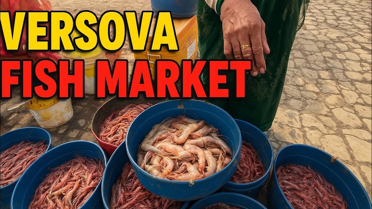 Inside Mumbai&rsquo;s Versova Fish Market &ndash; SHOCKING Prices & Fresh Catch! 🐠 
