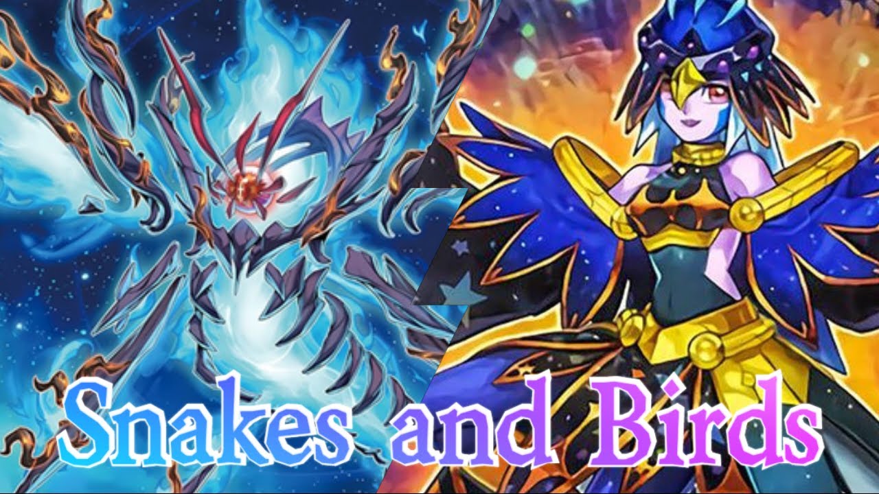 1 Card Full Lyrilusc Combo (TCG/OCG)