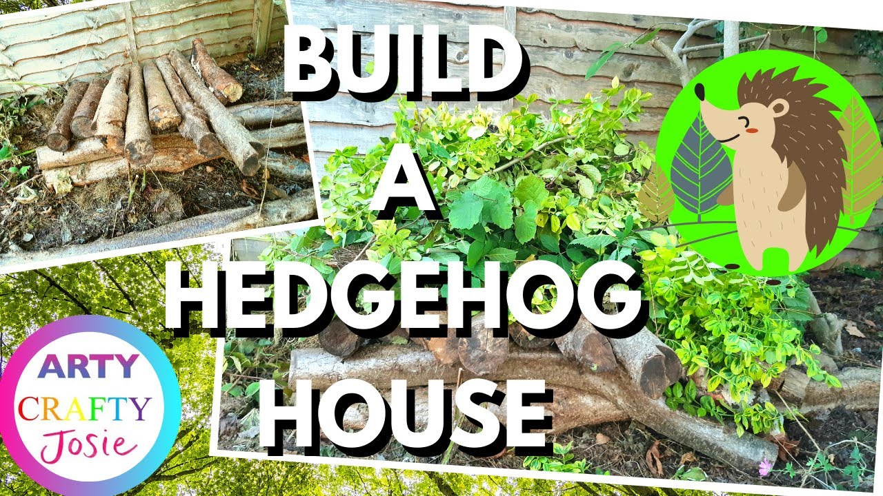 Making a Hedgehog House