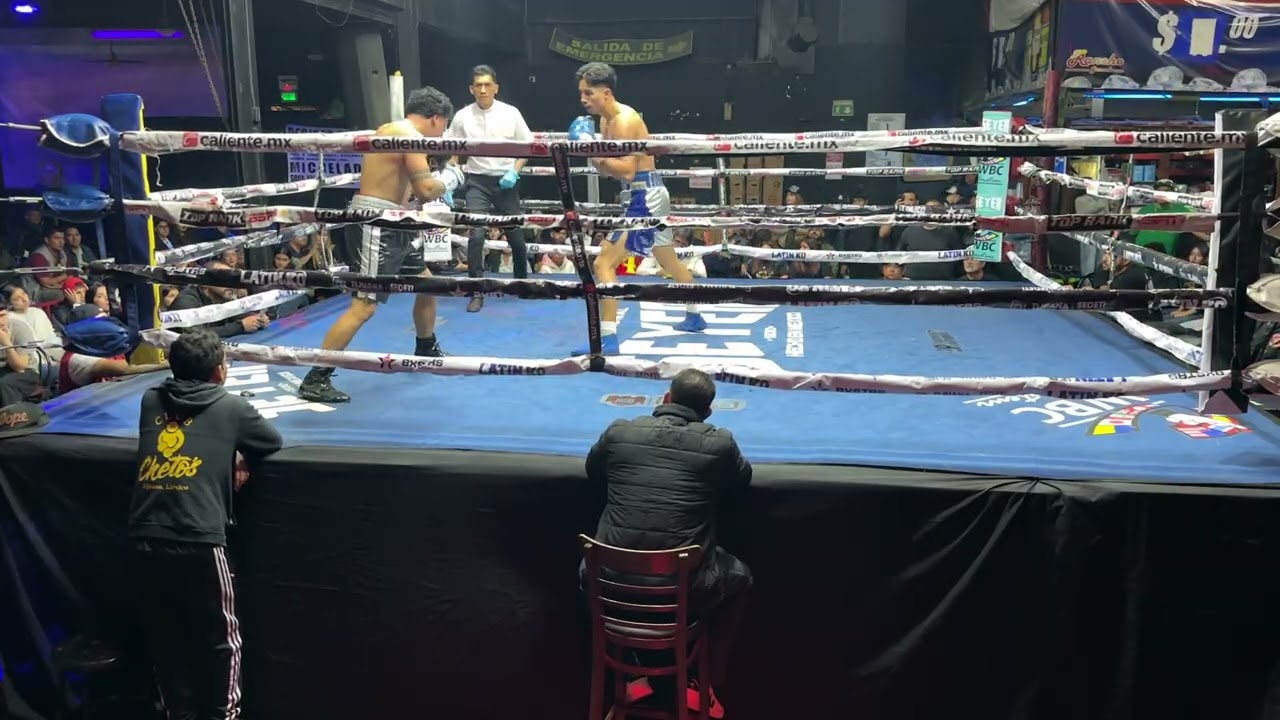 Julian Bridges vs Alan Solis