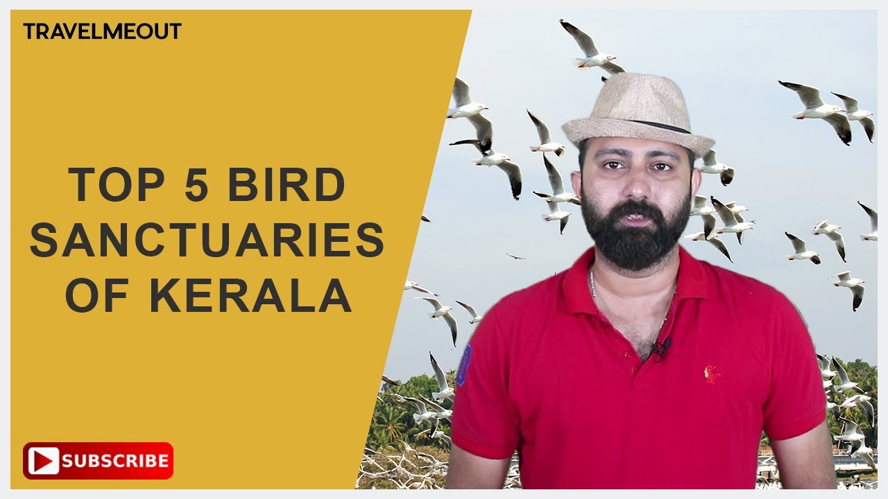 Bird Sanctuary in Kerala psc | കേരളത്തിലെ പക്ഷി സങ്കേതങ്ങൾ -  Kerala Bird Sanctuary
