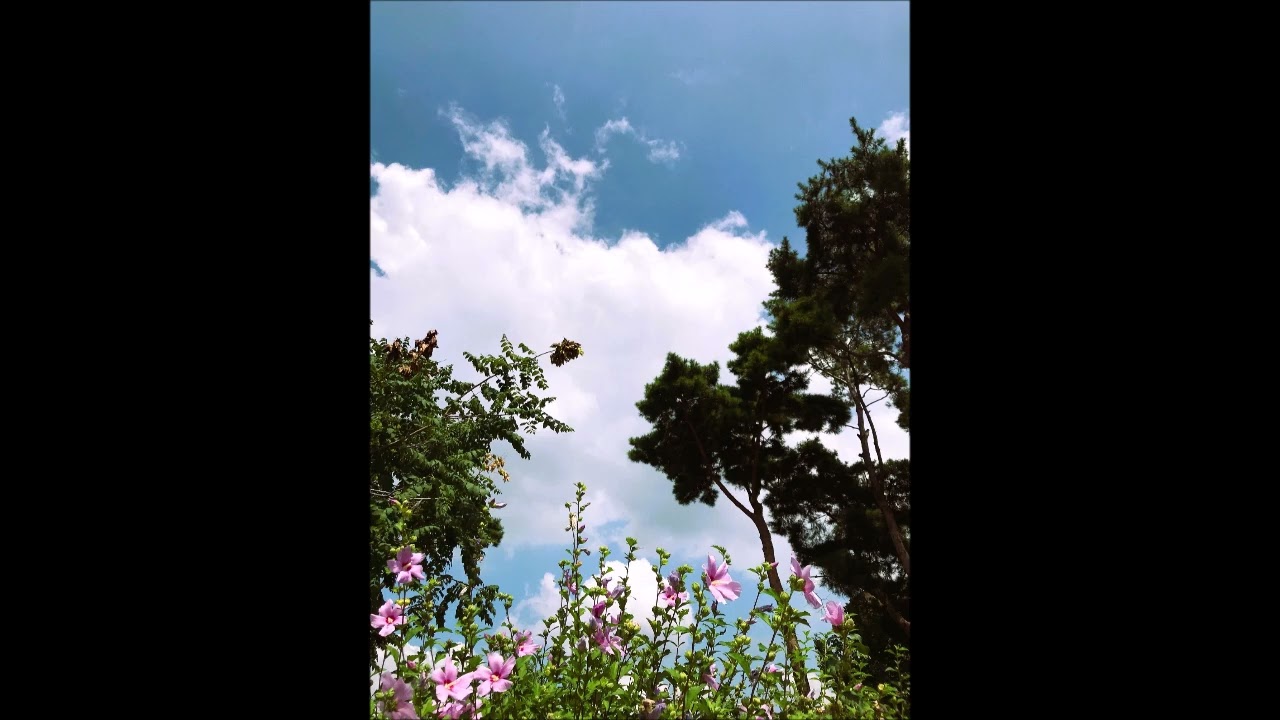 beethoven  leonore overture no.2 in c major, op.72b ( h.v. karajan )